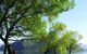 Lake Outlet Holiday Park - thumb 10