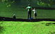 Lake Outlet Holiday Park - thumb 11