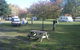 Riversedge Holiday Park - thumb 4