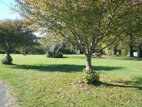 Riversedge Holiday Park - Accommodation New Zealand 6