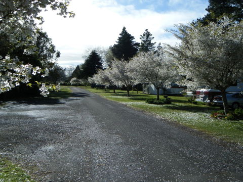 Riversedge Holiday Park - Accommodation New Zealand 2