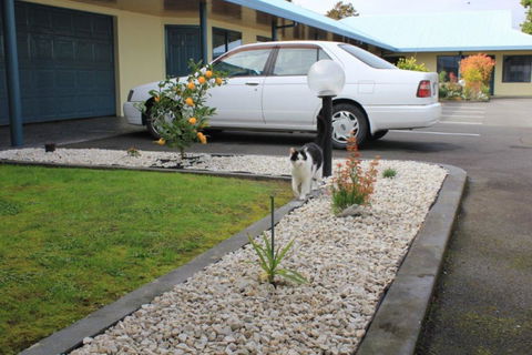 Bassingers Motor Lodge - Accommodation New Zealand 2