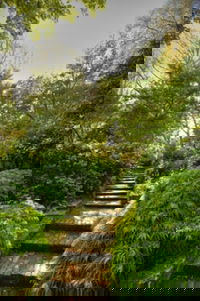 Eastwoodhill Arboretum