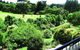 Cathedral Cliffs Gardens And B&B - thumb 3