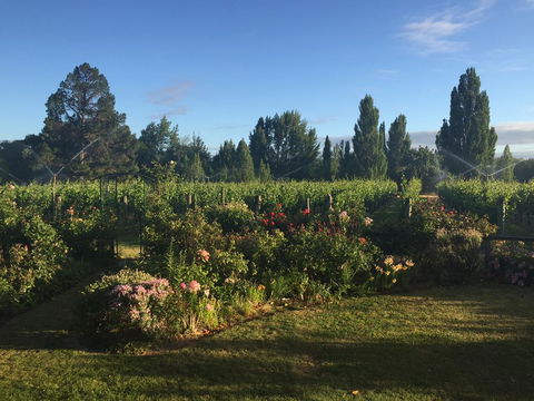 The Crib On Legacy Vineyard - Accommodation New Zealand 1