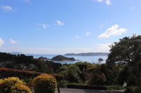 A Bay's Eye View