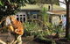 Fat Cat Backpackers Community - thumb 0