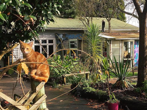 Fat Cat Backpackers Community - Accommodation New Zealand 0