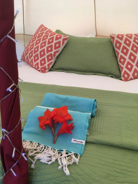 Orchard View Glamping Retreat - Tourism Bookings NZ 3