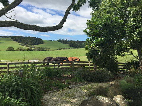 Quail Lodge NZ - Accommodation New Zealand 2