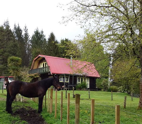 Raurimu Log Cabin - Accommodation New Zealand 2