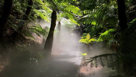 Australian National Botanic Gardens - Foster Accommodation 4