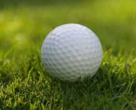 Collier Park Golf Course Image