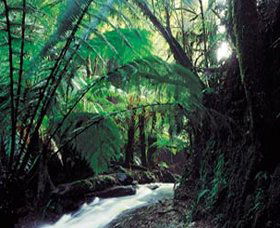 Lavers Hill VIC Byron Bay Accommodation
