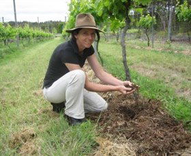 Twisted Gum Wines - Wagga Wagga Accommodation 2