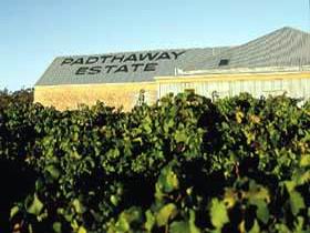 Padthaway Estate Winery - Accommodation Australia 0