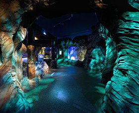 SEA LIFE Sydney Aquarium - thumb 3