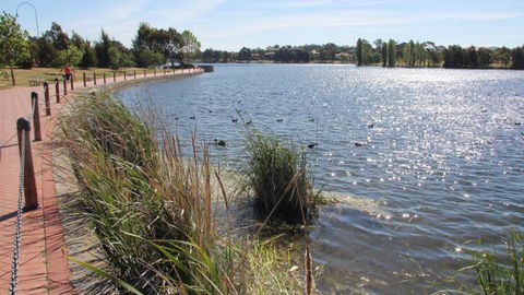 Yerrabi Pond - Hervey Bay Accommodation 1