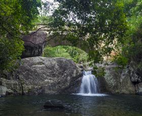 Paluma and Crystal Creek Rainforest