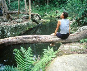 Barron Gorge National Park - thumb 1