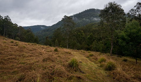 Nowendoc National Park - Accommodation Australia 1