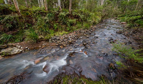 Nowendoc National Park - Accommodation Australia 3