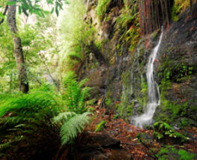 Fairy Bower Falls - thumb 0