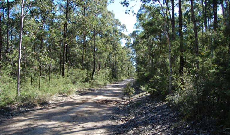 Werakata National Park Logo and Images