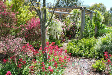 Ivy Hill Gallery - thumb 6