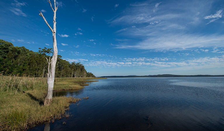 Lake Innes Nature Reserve - thumb 0
