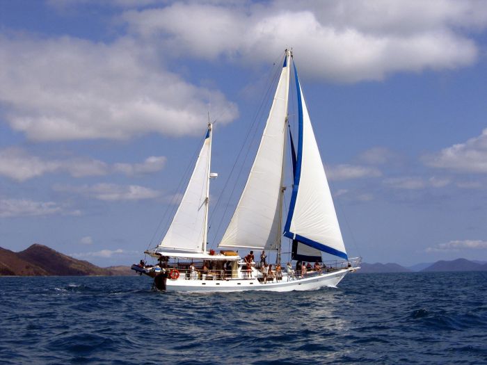 Adventure, Cruise, Dive And Outer Reef - Whitsundays Sailing Adventures - thumb 5