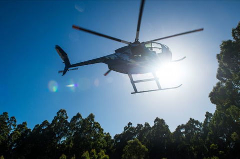 Tall Timbers Adventure Tours - Attractions Perth 0