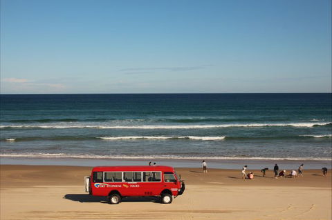 Port Stephens 4WD Tours - Accommodation Broken Hill 6