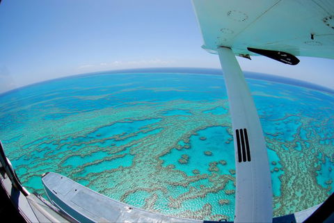 Air Whitsunday Seaplanes - Hobart Tourism 3