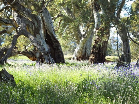 Aussie Heritage Tours - Victoria Tourism 4