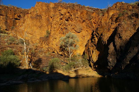 Aussie Heritage Tours - Victoria Tourism 6