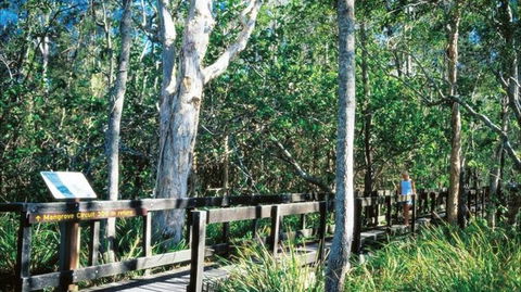 Kinaba Track - Tourism Brisbane 0