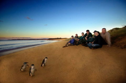 Melbourne Coastal Touring - Sunshine Coast Guide 2