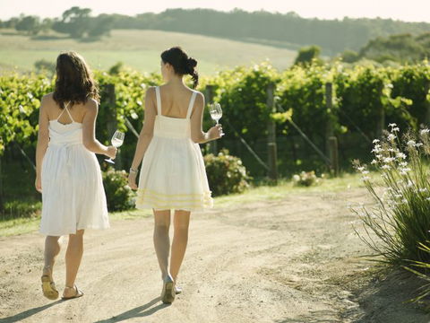 Melbourne Coastal Touring - Sunshine Coast Guide 4