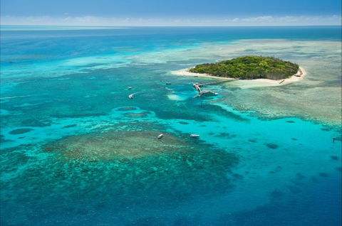 Big Cat Green Island Reef Cruises - Brisbane Tourism 6