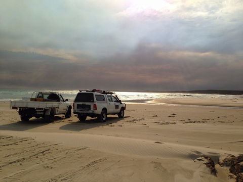 Tasmanian Offroad Adventures - Victoria Tourism 0