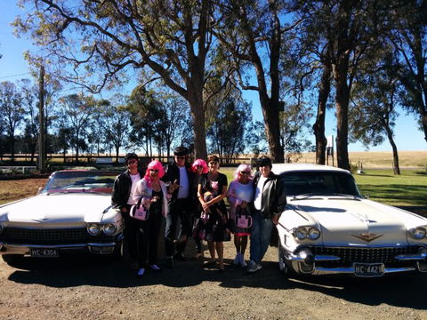 Hunter Valley Cadillacs - Accommodation Hamilton Island 1