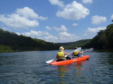 Bundeena Kayaks - Wagga Wagga Accommodation 1