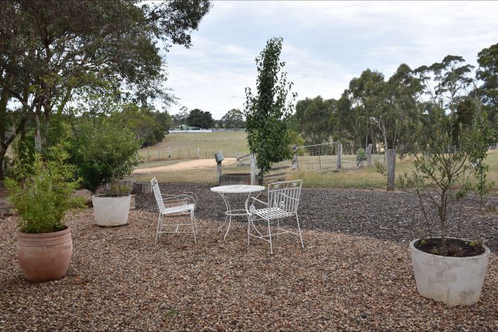 Cygnet Park Country Retreat - thumb 1