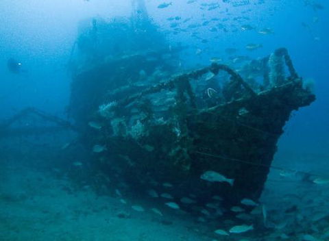 Kirra Dive “On The Tweed” - Attractions Perth 4