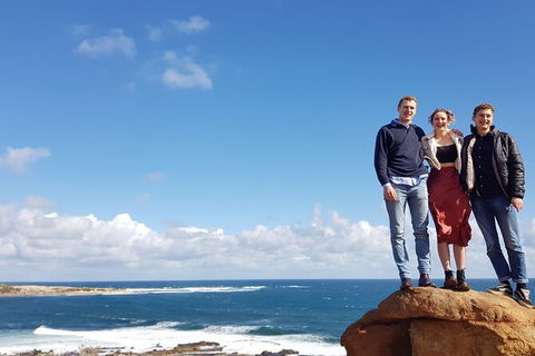 7 Hour Full Day Tour: Morning Tea, Chocolate, Olives, 3 Wineries & Lunch - Byron Bay Accommodation 5