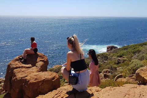 7 Hour Full Day Tour: Morning Tea, Chocolate, Olives, 3 Wineries & Lunch - Byron Bay Accommodation 11