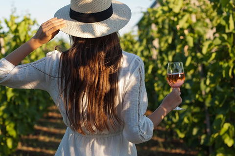 7 Hour Full Day Tour: Morning Tea, Chocolate, Olives, 3 Wineries & Lunch - Byron Bay Accommodation 2