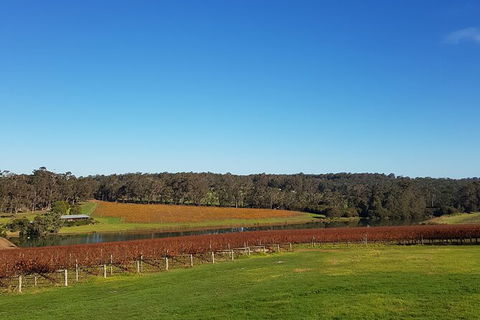7 Hour Full Day Tour: Morning Tea, Chocolate, Olives, 3 Wineries & Lunch - Byron Bay Accommodation 7