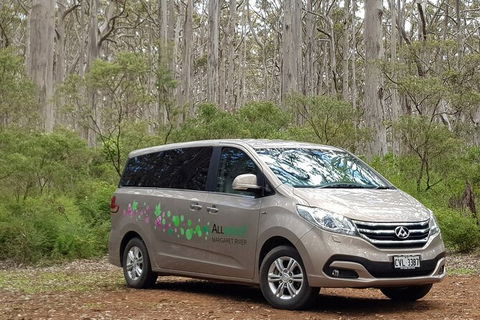 7 Hour Full Day Tour: Morning Tea, Chocolate, Olives, 3 Wineries & Lunch - Byron Bay Accommodation 6